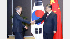 文대통령 “평화프로세스 공동협력 희망”…시진핑 “한중 입장 비슷”