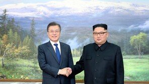 ‘대북제재’에 막혀 논의만 8개월째…남북경협 지지부진