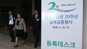 ‘금강산관광 20주년 행사’ 현정은 회장 등 방북단 107명 출발