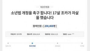 “조카 투신했는데 18세 범인 ‘소년법’ 양형”…靑청원 20만 넘겨
