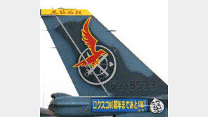 제국주의 시절로 돌아가나…日자위대 전투기에 ‘견적필살’ 슬로건