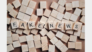 아프리카 국가들이 가짜뉴스를 피하는 이상한 방법