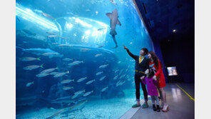 “한화 아쿠아플라넷 여수에서 즐기는 실속 할인”