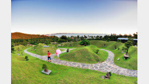 신안군을 문화예술의 섬으로 바꾼 ‘1004섬 분재공원’