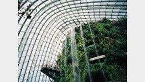 살거리 넘어 볼거리-놀거리… 아웃렛들 ‘문화 경쟁’