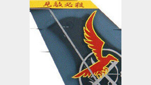 견적필살… 日전투기에 제국주의 연상 슬로건