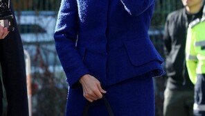 청와대, ‘혜경궁 김씨’ 경찰 수사결과에 “입장 無…靑 관여할 문제 아냐”