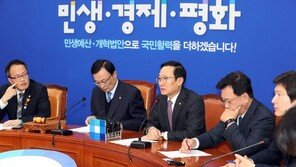 홍영표, 혜경궁 김씨 논란에 “사태 더 지켜봐야”