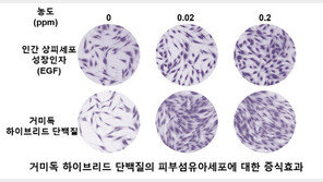  넥스젠, 거미독 하이브리드 단백질 미국 특허 획득
