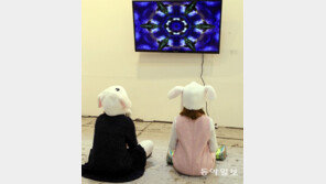 [고양이 눈]예술 감상