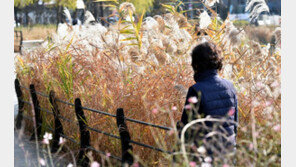 [날씨] 내륙 곳곳 영하권…경기남부 미세먼지 ‘나쁨’