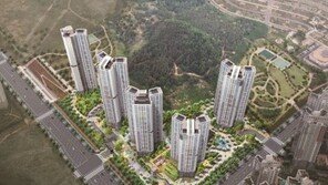 똘똘한 집 한 채 대세…영종하늘도시 화성파크드림 관심