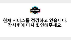 “‘불법 만화 사이트’ 마루마루 폐쇄 안돼” 황당 靑 청원에 “제정신” 일침