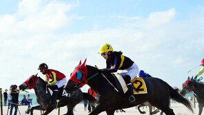 “토종 제주마 이름 지어주세요”