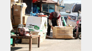 울산 70대 할머니 폭행 청원글 올린 아들 “강력 처벌해달라”