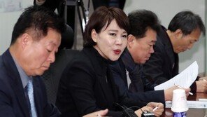 與 택시·카풀TF “해법 준비”…업계 “거부할 수 없는 흐름”