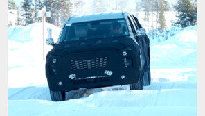 현대차, 팰리세이드에 ‘스노우 모드’ 탑재