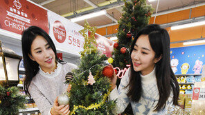 “크리스마스 용품 다 모였네”