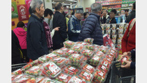 한국 ‘딸기 독립’… 日컬링팀도 “맛있다”