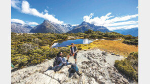 순도 100%의 대자연, 뉴질랜드 남북섬 트레킹