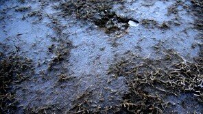 오늘 ‘첫눈’ 가능성…미세먼지 전 권역 ‘보통’