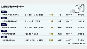 연말 서울·용인·세종, 초고층 아파트 ‘분양대전’