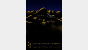 대만 독립 발언 파문…판빙빙 반박 속 中공산당, 금마장 불참 지시설