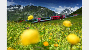 외교부 “스위스 열차사고 한국인 1명 사망, 영사조력 제공”