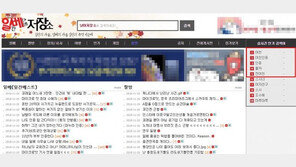 경찰 “일베 ‘여친 인증’  모자이크·뒷모습도 성폭력특별법 적용 가능”