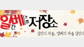 ‘일베 여친 인증’ 피해자 “혹시나 했는데 내 사진이…상상도 못해, 무서웠다”