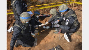 정부, DMZ 유해발굴·산림방제 등에 남북협력기금 41억 의결