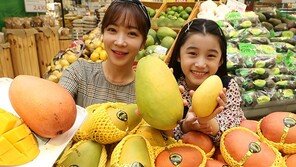 “무게 800g 코끼리 망고입니다”