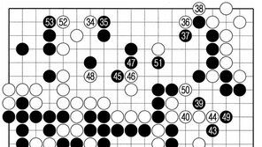 [바둑]알파고 vs 알파고 특선보… 대마 사냥은 사실상 실패
