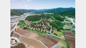 양평 자연 친화적 대단지 전원마을 外