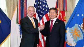 매티스 “내년 봄 독수리훈련 ,외교 저해 않는 수준으로 축소”