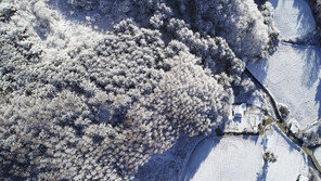 [청계천 옆 사진관]첫눈 내리는 ‘소설’…강원도는 눈꽃 세상