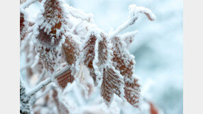 눈 없는 소설(小雪)…서울은 주말 첫눈 예정