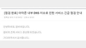 아마존웹서비스 장애로 국내 주요 사이트 ‘먹통’…2시간여 만에 복구
