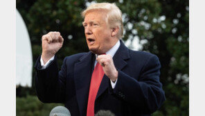 트럼프, 독일 자동차 3사 CEO 백악관 초청 검토…왜?