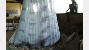 스리랑카에서 시신 230여개 구 발견…내전 때 실종자 추정