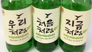 처음처럼, 2018 대한민국 광고대상 2개 부문 수상