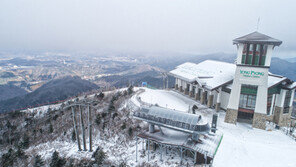 용평리조트 스키장 23일 오전 공식 오픈