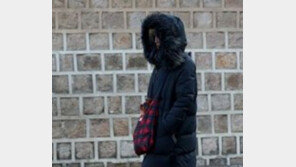 내일 서울 영하 4도, 올 가을 최강 추위 …토요일 새벽부터 눈