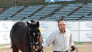 [경마 단신] 한국마사회 승용마 품평회 시행 外