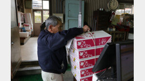 젊은이들 떠나고 노인들만 남은 마을서 ‘억대’ 매출을?