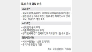 “고맙다 사우디”… 경제치적 찾는 트럼프 눈에 확 띈 ‘저유가’