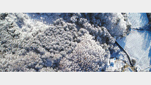 ‘눈세상’ 강원도… 23일 서울 아침 영하 4도