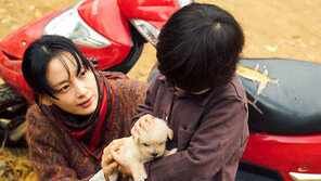 [눈과 귀가 즐거운 주말]영화 뷰티풀 데이즈 外