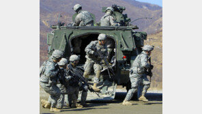 독수리훈련 기간 두달→한달 줄고, 美핵항모-스텔스기 불참할듯