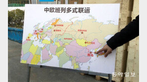 유라시아 지도 펼쳐진 칭다오港… 로봇이 산더미 화물 운송 척척